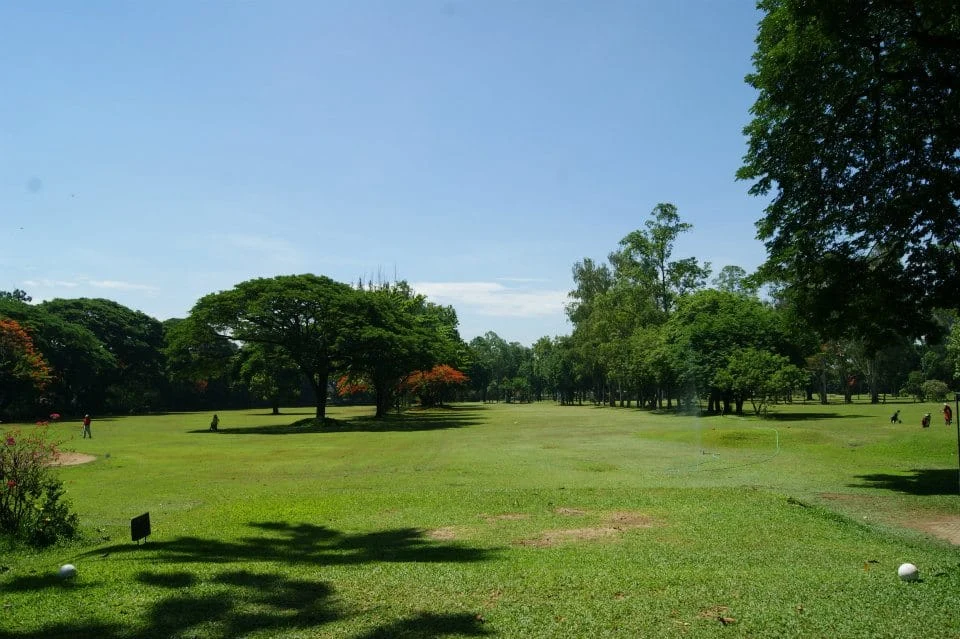 Golf fairway