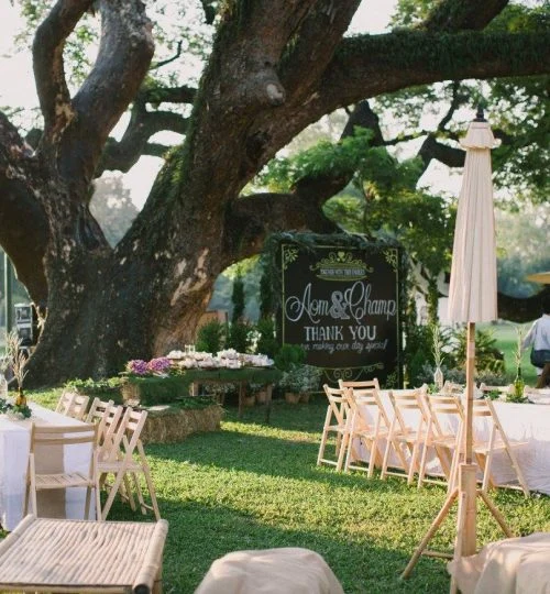 Wedding ceremony setup under the giant rain tree at Chiang Mai Gymkhana Club